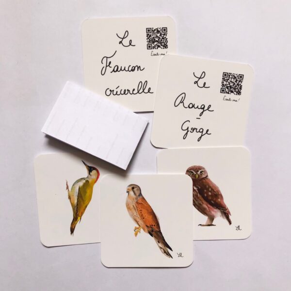 Mémo oiseaux