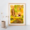 Print A4 "Epicureuil"