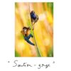 Illustration sans titre Impression A6 au choix