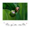Illustration sans titre Impression A6 au choix