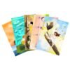 Illustration_sans_titre 73 Lot 5 illustrations A6 au choix