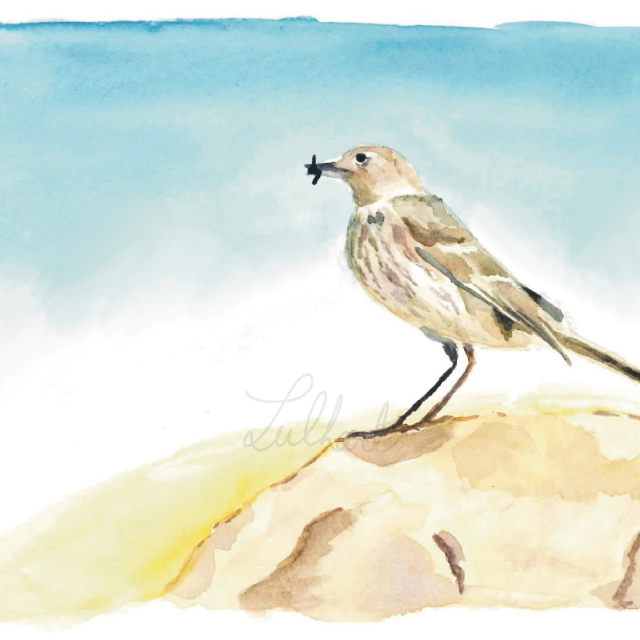 Illustration_sans_titre 23