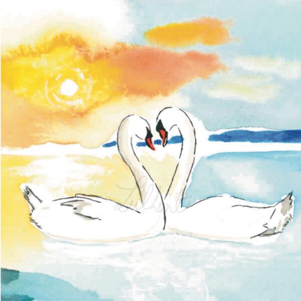 A5 - Aquarelle originale "Cygne tuberculé"