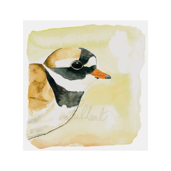 A6 - Aquarelle originale "Grand gravelot"