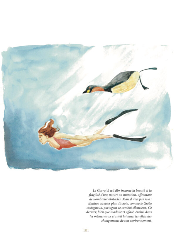 Livre "Le joyeux désespoir des oiseaux"