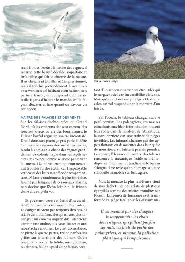 Livre "Le joyeux désespoir des oiseaux"