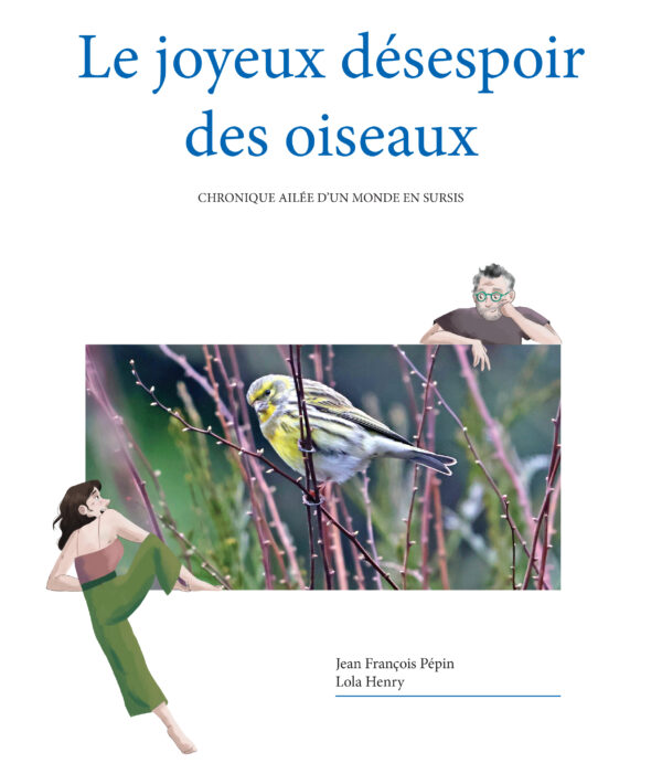 Livre "Le joyeux désespoir des oiseaux"